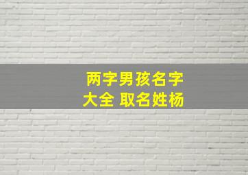 两字男孩名字大全 取名姓杨